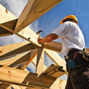 Construction using softwood lumber