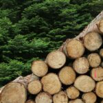 Risk of Potential Tariffs on Wood Products